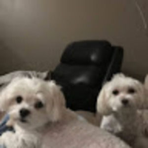 Meet your Posher, Roseann